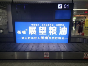 ũƷӹ,ʳչ,ϵֲ,ʡ388vip̫Ƽչ޹˾